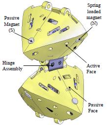 Pair of RATChET modules